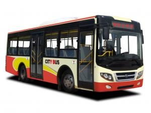 Wuzhoulong WZL6731NGT4 2010 года